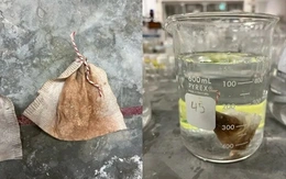 Học sinh trung học tạo túi lọc từ vỏ trứng, loại bỏ 98% asen trong nước