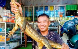 Kỳ đà hoa quý hiếm vào... phòng ngủ, người dân giao nộp kiểm lâm