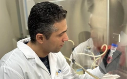 Phương pháp hỗ trợ điều trị ung thư bằng cấy ghép vi sinh đường ruột