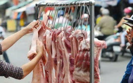 Sốc nhiễm khuẩn, suy đa tạng vì nhiễm liên cầu lợn sau khi chế biến thịt heo sống