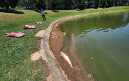 Chi 48 tỉ đồng xử lý ô nhiễm hồ Xuân Hương