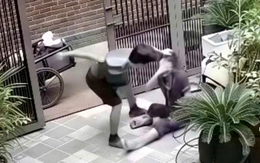 Con xin ba, ba tha cho mẹ!