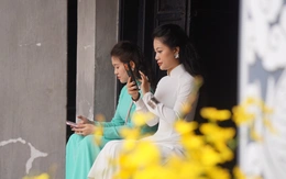 Khủng hoảng tâm lý, thứ làm dịu cơn đau không nằm trong màn hình