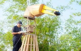 Trạm AI nghe chim kể chuyện: trải nghiệm lạ ở Đà Nẵng