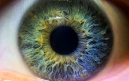 Phát hiện nhiều gene 'phụ' có thể làm thay đổi màu mắt