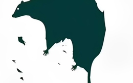 Quiz: Bạn không dễ bị ảnh hưởng bởi người khác?