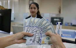 Kiều hối chuyển về TP.HCM bất ngờ đi xuống