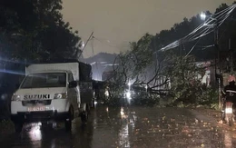 Bắc Bộ có nơi mưa to đêm nay, cảnh báo dông lốc, mưa đá