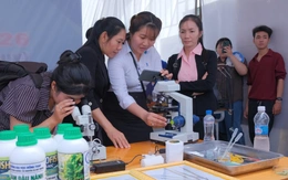 Học sinh miền Tây ứng dụng AI trong 'Sáng tạo vì cộng đồng'