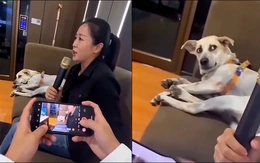 Chó cưng hú hồn với giọng hát của cô chủ