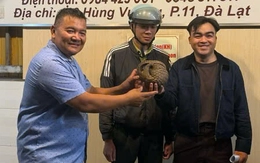 Tê tê bò vào tầng hầm quán nhậu ở Đà Lạt, chủ quán gọi báo kiểm lâm