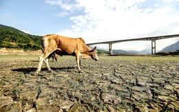 El Nino sắp xuất hiện, tác động đến mưa, nguồn nước ở Việt Nam thế nào?