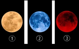 Quiz: Tình hình tài chính sắp tới của bạn sẽ thế nào?