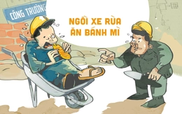 Vì sao người thợ xây ngồi xe rùa ăn bánh mì?