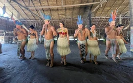 Kỳ lạ phố giữa rừng Amazon và những 'người tị nạn khí hậu'