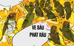 Ve sầu phát rầu vì mùa hè không... inverter