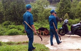 Người đàn ông chết trong rừng Khu du lịch quốc gia hồ Tuyền Lâm Đà Lạt