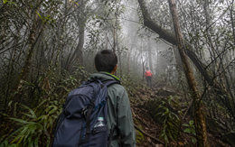 Vì sao hay nói người thất lạc khi leo núi, đi rừng 'bị dẫn'?