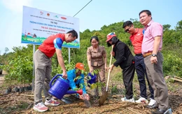 Dai-ichi Life Việt Nam trồng 6.000 cây xanh tại thảo nguyên Bùi Hui, tỉnh Quảng Ngãi