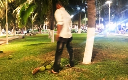 Xác minh 2 người đàn ông hái dừa trong công viên ven biển Nha Trang rồi bán cho khách