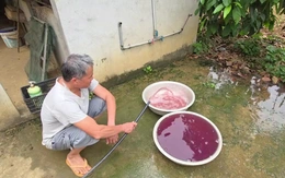 Vụ nước giếng đổi màu tím: Yêu cầu doanh nghiệp dừng giặt, khắc phục ô nhiễm