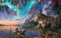 Phát hiện loài tê giác mới ở Bắc Cực