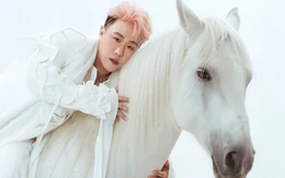 Trung Quân tiết lộ thi chông gai, chồng nạn nhân công khai tin nhắn riêng tư có sai luật?