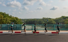 Cần Giờ gây ấn tượng với cung đường tràn ngập sắc xanh thiên nhiên