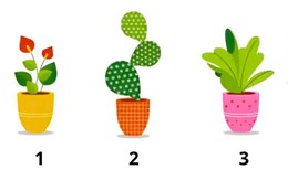 Quiz: 'Độ tuổi tâm hồn' của bạn là bao nhiêu?