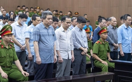 Giám đốc chi 40 tỉ hối lộ cựu quan chức Bộ Nông nghiệp, xin giảm án