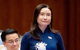 Kỳ họp thứ nhất, Quốc hội khóa XVI