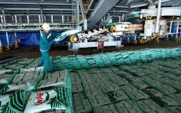 Phân bón Cà Mau hướng tới doanh thu 30.000 tỉ đồng, mở rộng xuất khẩu sang thị trường mới