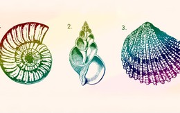 Quiz: Bạn sở hữu tố chất lãnh đạo bẩm sinh?