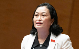 Kỳ họp thứ nhất, Quốc hội khóa XVI