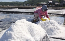 Đánh thức đồng muối Sa Huỳnh: Giữ nghề trăm năm, mở lối làm du lịch