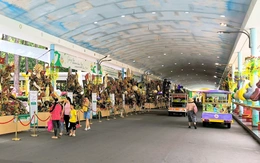 Suối Tiên, Đầm Sen và loạt khu du lịch TP.HCM lên phương án giảm giá vé dịp giỗ Tổ, lễ 30-4