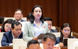 Kỳ họp thứ nhất, Quốc hội khóa XVI