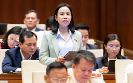 Kỳ họp thứ nhất, Quốc hội khóa XVI