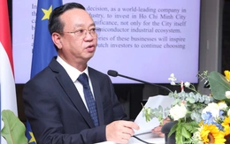 Kỳ vọng quan hệ Việt Nam - Hà Lan tiếp tục tỏa sáng