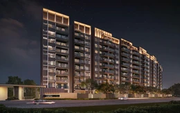 Orchard Collection - mảnh ghép cao cấp hoàn thiện bức tranh Sycamore