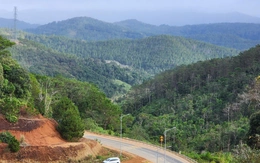 Quảng Ngãi chuyển mục đích gần 83ha đất rừng để làm khu đô thị ở Măng Đen