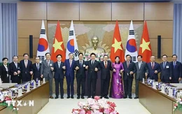 Việt - Hàn muốn đi xa hãy đi cùng nhau!