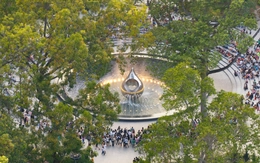 Ảnh chụp giọt nước ở công viên tưởng niệm các nạn nhân COVID-19 đoạt giải nhất