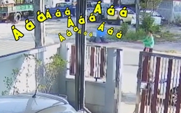 Bò chạy té khói khi thấy... người đẹp