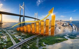 50 năm thành phố mang tên Bác