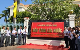 Ngắm công cụ trồng lúa xa xưa tại Bảo tàng Lúa nước vừa thành lập tại Cà Mau