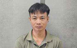 Châm lửa đốt xưởng gỗ sau khi uống rượu, người đàn ông bị khởi tố