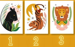 Quiz: Điều gì đang cản trở bạn thành công?