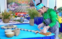 Phụ nữ Cà Mau thi nấu món ngon từ gạo mừng ngày Giỗ Tổ