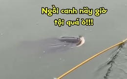 Cần thủ nổi quạu vì bị cá trêu ngươi